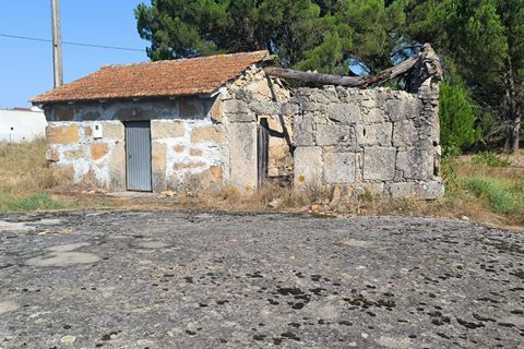 Terra a Nelas, Viseu, Nelas - € 36.500 | Ref: 389240129 - foto 3