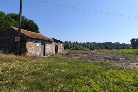 Terra a Nelas, Viseu, Nelas - € 36.500 | Ref: 389240129 - foto 4