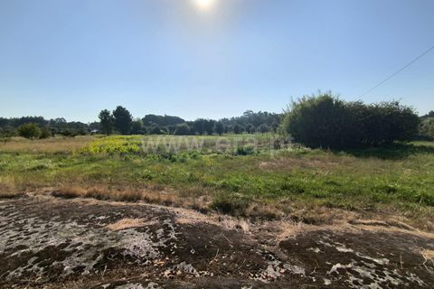 Terra a Nelas, Viseu, Nelas - € 36.500 | Ref: 389240129 - foto 5