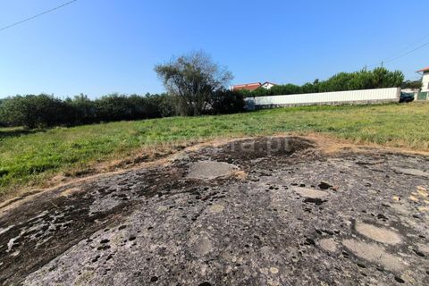Terra a Nelas, Viseu, Nelas - € 36.500 | Ref: 389240129 - foto 6