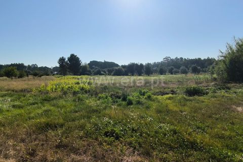 Terra a Nelas, Viseu, Nelas - € 36.500 | Ref: 389240129 - foto 7