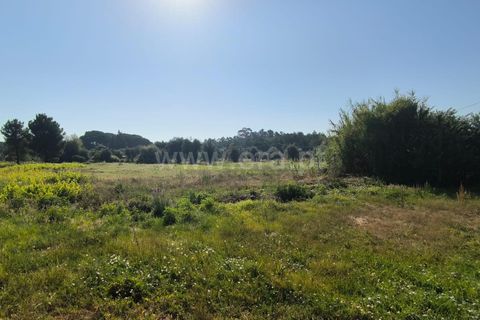 Terra a Nelas, Viseu, Nelas - € 36.500 | Ref: 389240129 - foto 8