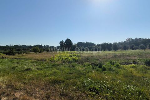 Terra a Nelas, Viseu, Nelas - € 36.500 | Ref: 389240129 - foto 9