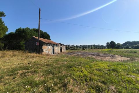 Terra a Nelas, Viseu, Nelas - € 36.500 | Ref: 389240129 - foto 11
