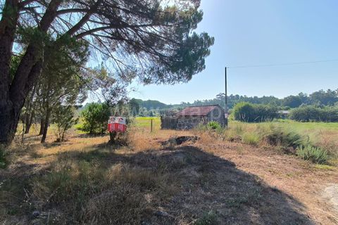 Terra a Nelas, Viseu, Nelas - € 36.500 | Ref: 389240129 - foto 12