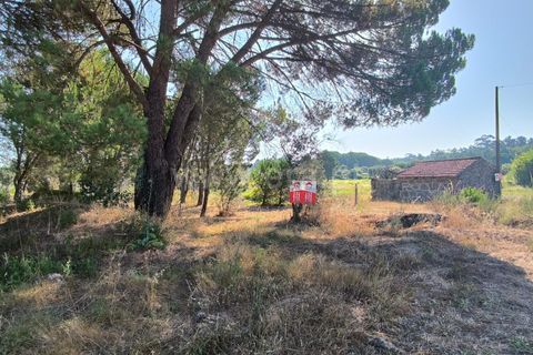 Terra a Nelas, Viseu, Nelas - € 36.500 | Ref: 389240129 - foto 13