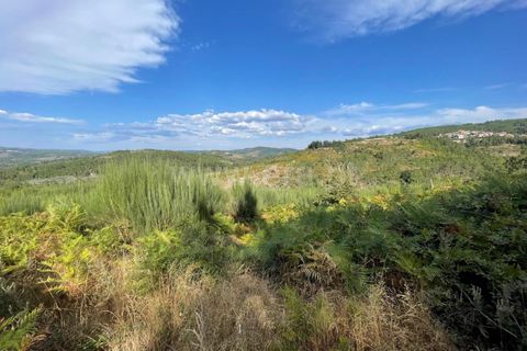 Helårsgrund i Penalva do Castelo, Viseu, Penalva do Castelo - € 13.000 | Ref: 389240144 - foto 4