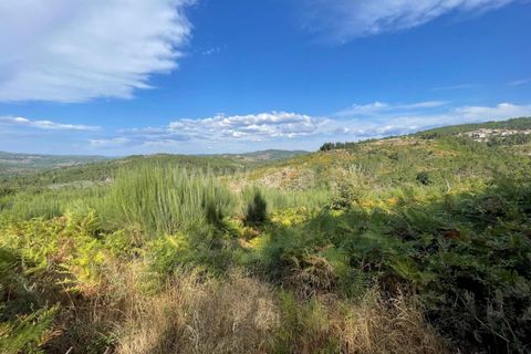 Helårsgrund i Penalva do Castelo, Viseu, Penalva do Castelo - € 13.000 | Ref: 389240144 - foto 5
