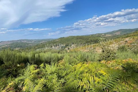 Helårsgrund i Penalva do Castelo, Viseu, Penalva do Castelo - € 13.000 | Ref: 389240144 - foto 6