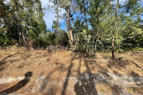 Helårsgrund i Penalva do Castelo, Viseu, Penalva do Castelo - € 13.000 | Ref: 389240144 - foto 10