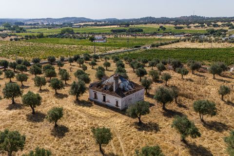 Grond in Redondo, Evora, Redondo - € 1.350.000 | Ref: CC1055-2255 - foto 3