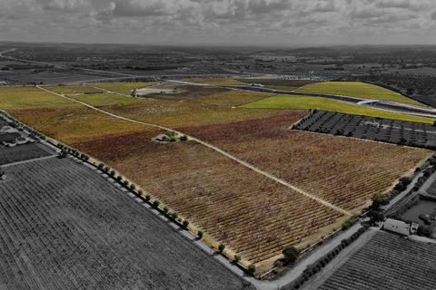 Grond in Redondo, Evora, Redondo - € 1.350.000 | Ref: CC1055-2255 - foto 6