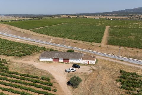 Grond in Redondo, Evora, Redondo - € 1.350.000 | Ref: CC1055-2255 - foto 4