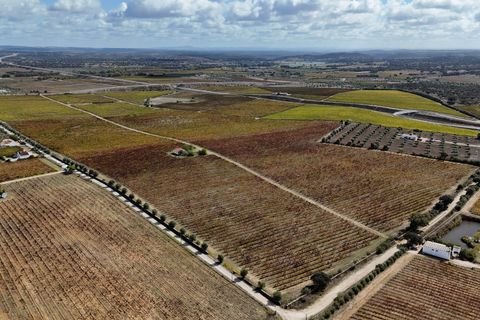 Grond in Redondo, Evora, Redondo - € 1.350.000 | Ref: CC1055-2255 - foto 5