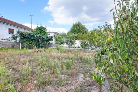 Villa i Celorico de Basto, Braga, Celorico de Basto - € 199.000 | Ref: C0272-02177 - foto 43