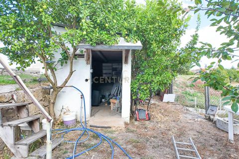 Villa i Celorico de Basto, Braga, Celorico de Basto - € 199.000 | Ref: C0272-02177 - foto 44