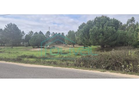 Helårsgrund i Benavente, Santarem, Benavente - € 105.000 | Ref: TER_2026 - foto 1