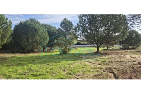 Helårsgrund i Benavente, Santarem, Benavente - € 105.000 | Ref: TER_2026 - foto 3