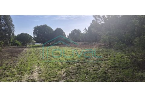Helårsgrund i Benavente, Santarem, Benavente - € 105.000 | Ref: TER_2026 - foto 5