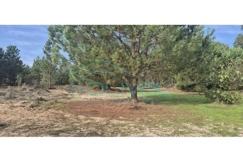 Helårsgrund i Benavente, Santarem, Benavente - € 105.000 | Ref: TER_2026 - foto 6