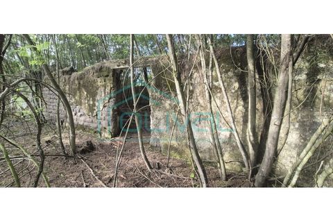 Helårsgrund i Benavente, Santarem, Benavente - € 105.000 | Ref: TER_2026 - foto 10