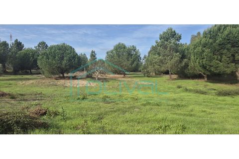 Helårsgrund i Benavente, Santarem, Benavente - € 105.000 | Ref: TER_2026 - foto 11