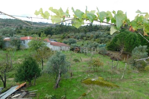 Villa i Seia, Guarda, Seia - € 150.000 | Ref: 382240135 - foto 14
