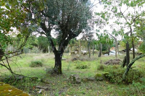 Villa i Seia, Guarda, Seia - € 150.000 | Ref: 382240135 - foto 15