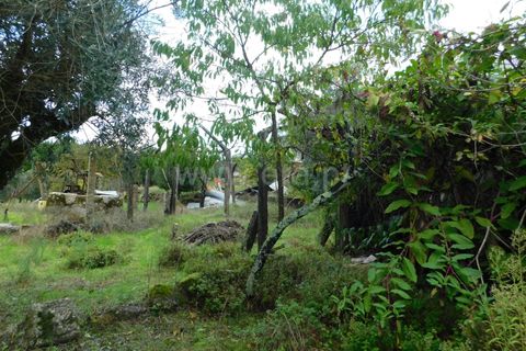 Villa i Seia, Guarda, Seia - € 150.000 | Ref: 382240135 - foto 17