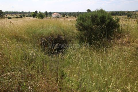 Helårsgrund i Guarda, Guarda, Guarda - € 53.000 | Ref: 046240269 - foto 7