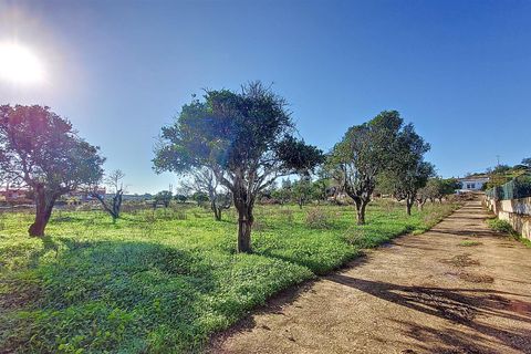 Erhvervsejendom i Silves, Faro, Silves - € 850.000 | Ref: 359240269 - foto 3