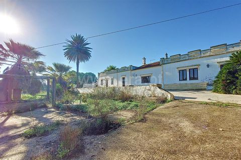 Erhvervsejendom i Silves, Faro, Silves - € 850.000 | Ref: 359240269 - foto 4
