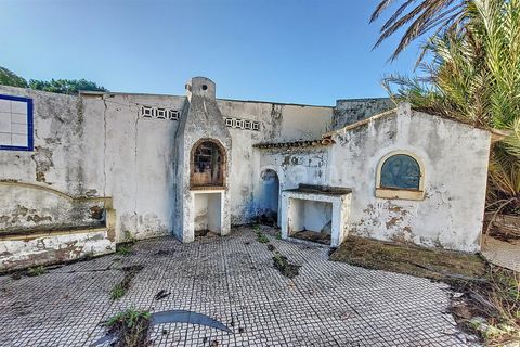Erhvervsejendom i Silves, Faro, Silves - € 850.000 | Ref: 359240269 - foto 6