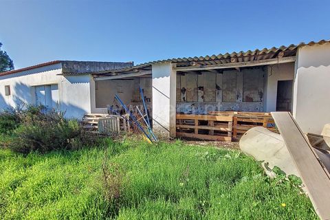 Erhvervsejendom i Silves, Faro, Silves - € 850.000 | Ref: 359240269 - foto 31