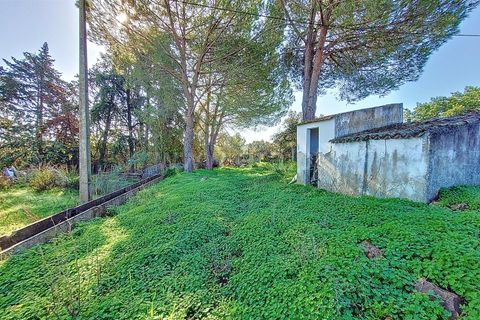 Erhvervsejendom i Silves, Faro, Silves - € 850.000 | Ref: 359240269 - foto 32