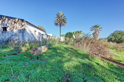 Erhvervsejendom i Silves, Faro, Silves - € 850.000 | Ref: 359240269 - foto 33