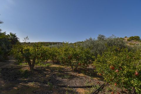 Landejendom i Torrellano, Alicante, Torrellano - € 370.000 | Ref: JD222 - foto 8