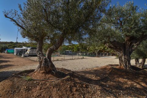 Landejendom i Torrellano, Alicante, Torrellano - € 370.000 | Ref: JD222 - foto 10