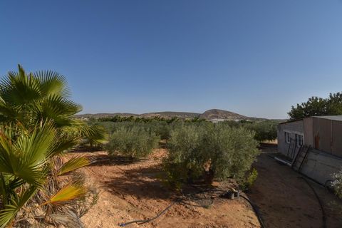 Landejendom i Torrellano, Alicante, Torrellano - € 370.000 | Ref: JD222 - foto 15