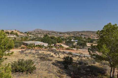 Landejendom i Torrellano, Alicante, Torrellano - € 370.000 | Ref: JD222 - foto 16