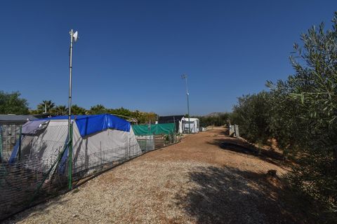 Landejendom i Torrellano, Alicante, Torrellano - € 370.000 | Ref: JD222 - foto 19