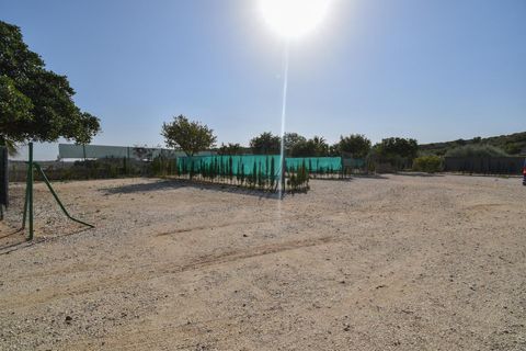 Landejendom i Torrellano, Alicante, Torrellano - € 370.000 | Ref: JD222 - foto 24