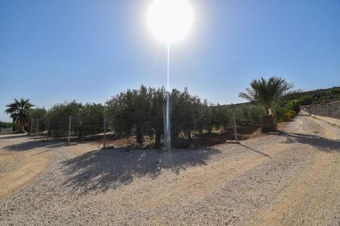 Landejendom i Torrellano, Alicante, Torrellano - € 370.000 | Ref: JD222 - foto 31