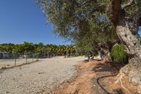 Landejendom i Torrellano, Alicante, Torrellano - € 370.000 | Ref: JD222 - foto 37