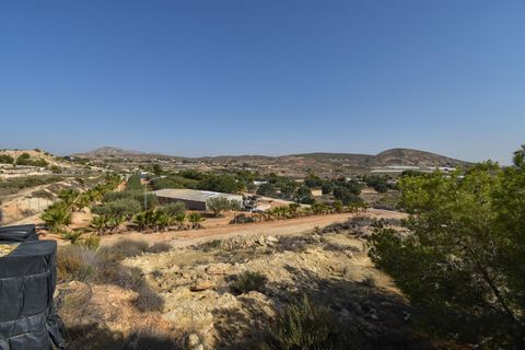 Landejendom i Torrellano, Alicante, Torrellano - € 370.000 | Ref: JD222 - foto 39