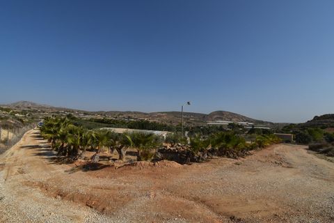Landejendom i Torrellano, Alicante, Torrellano - € 370.000 | Ref: JD222 - foto 40