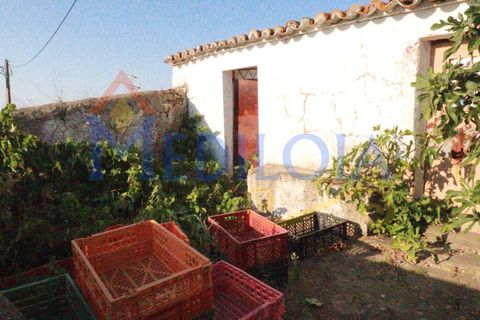 Landejendom i Tavira, Faro, Tavira - € 375.000 | Ref: 3405 - foto 18
