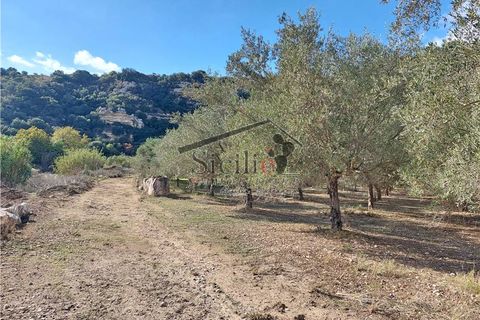 Landejendom i Ragusa, Ragusa, Ragusa - € 180.000 | Ref: 159 - foto 2