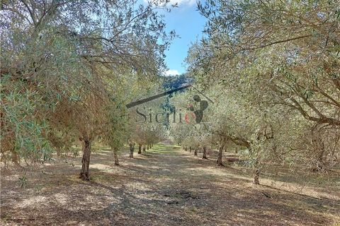 Landejendom i Ragusa, Ragusa, Ragusa - € 180.000 | Ref: 159 - foto 7