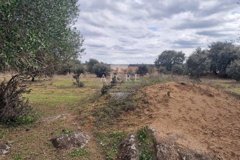 Helårsgrund i Evora, Evora, Evora - € 195.000 | Ref: 280-2-2024EM - foto 3